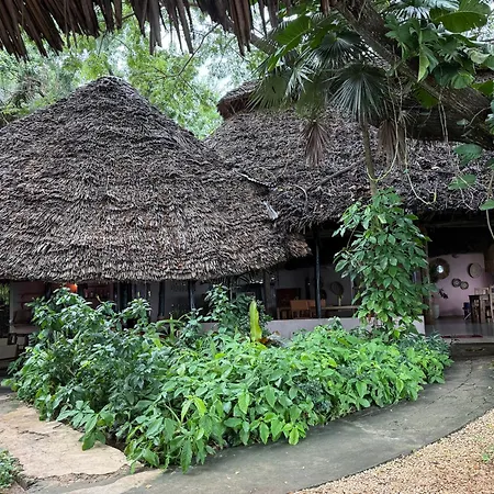 Mbweni Ruins & Gardens Previously Jungle Paradise-2